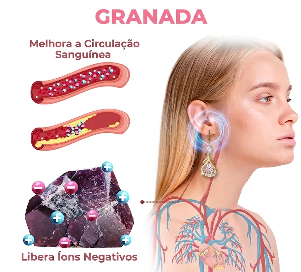 Granada - Circulação Sanguínea